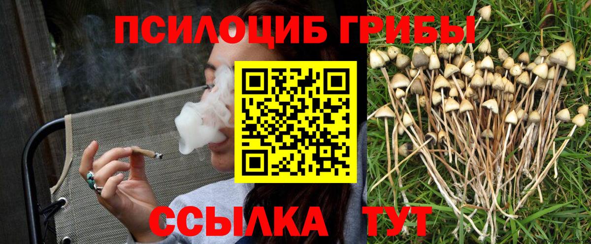 Псилоцибиновые грибы Magic Shrooms Майкоп